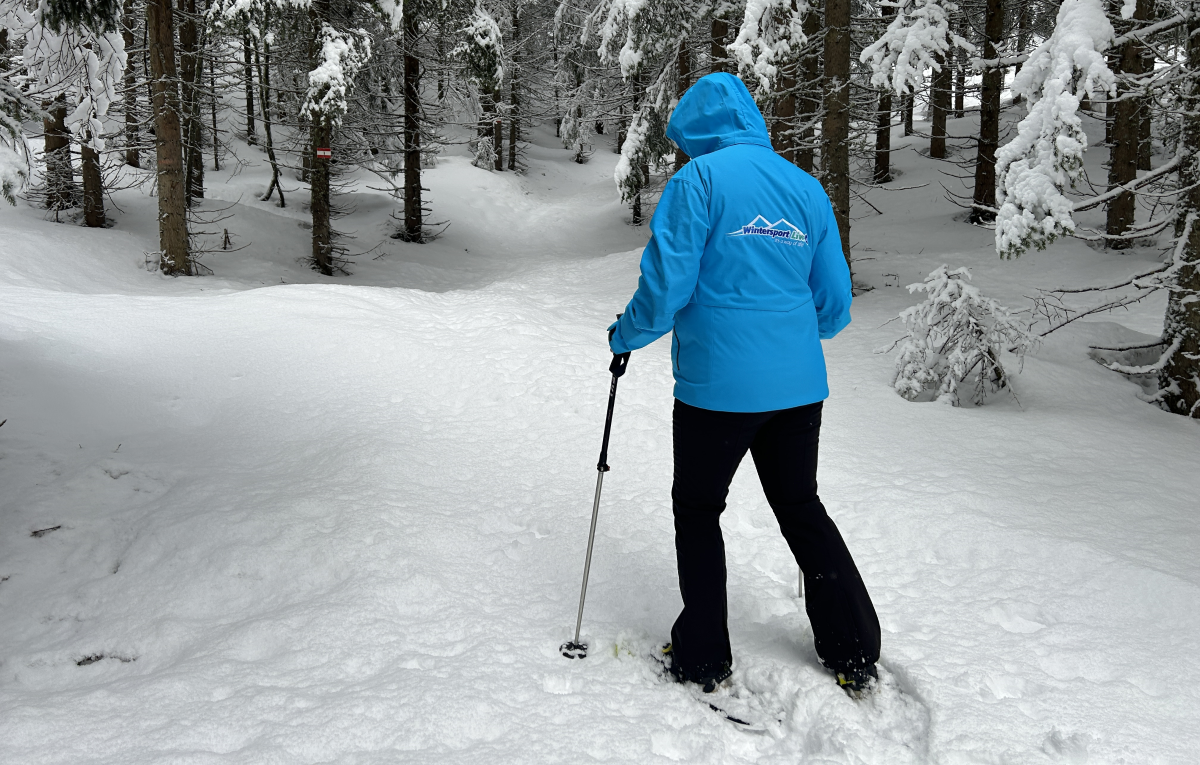 Sneeuwschoenwandelen in de bossen